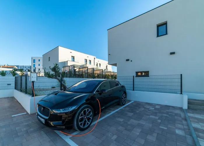 Pinna - Pinna * 풀라